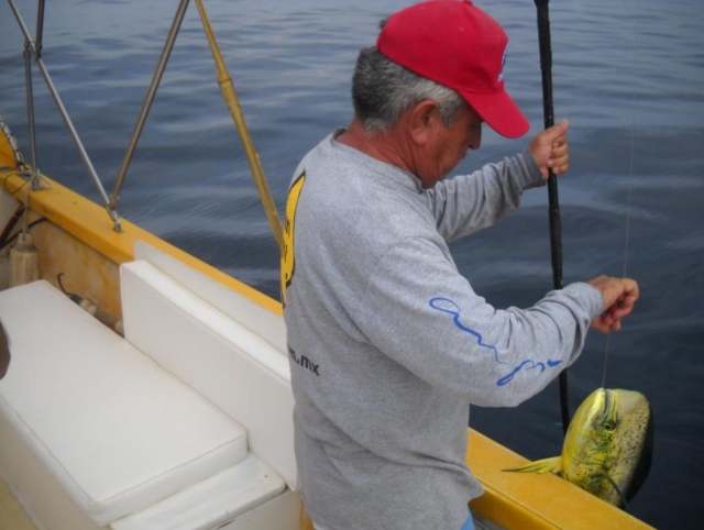 Sacando el dorado del agua